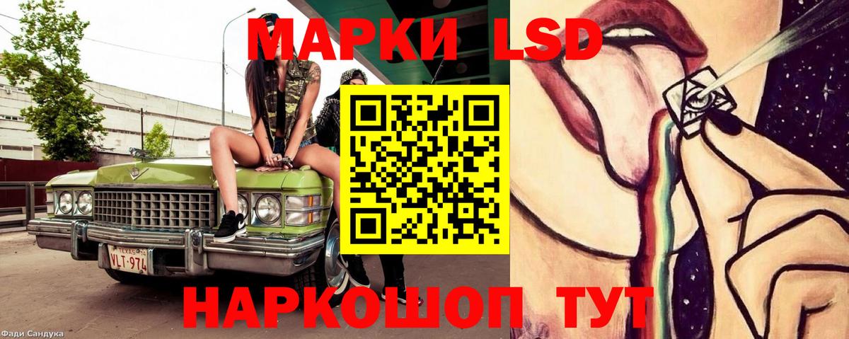 Шадринск  ЛСД экстази ecstasy  ЛСД экстази кислота  ЛСД экстази  Вход с VPN 