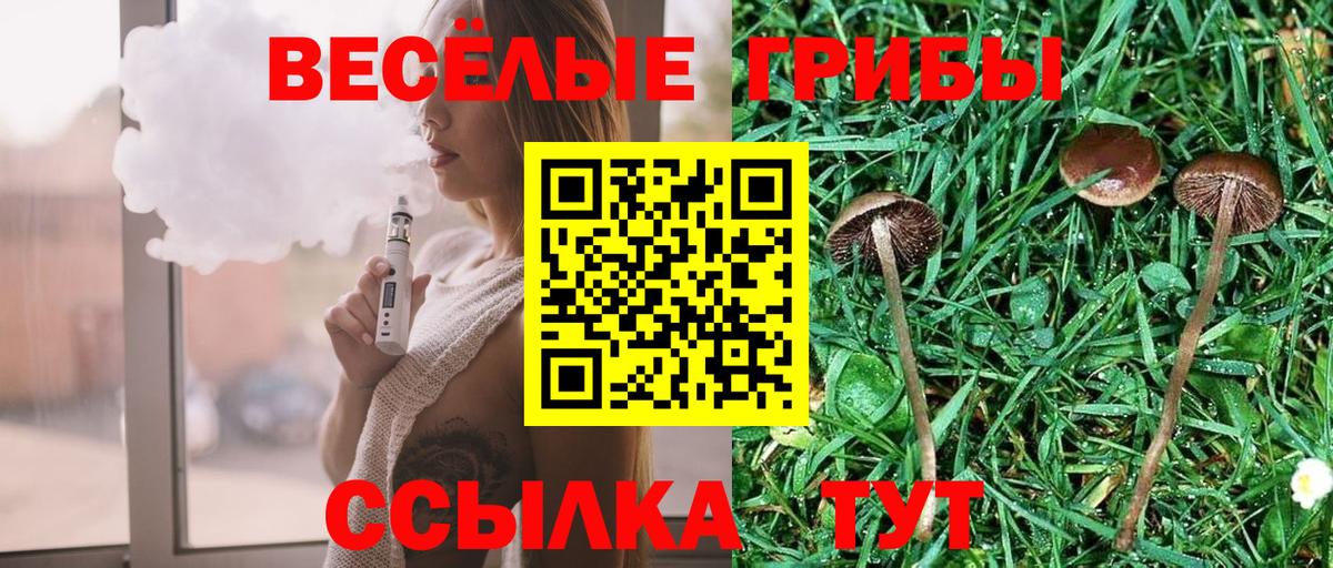 Галлюциногенные грибы ЛСД  Вход с VPN  как найти закладки  Шадринск 