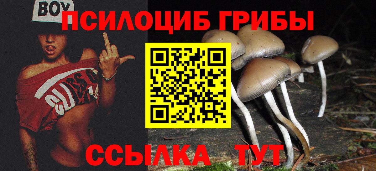 Галлюциногенные грибы Magic Shrooms Шадринск